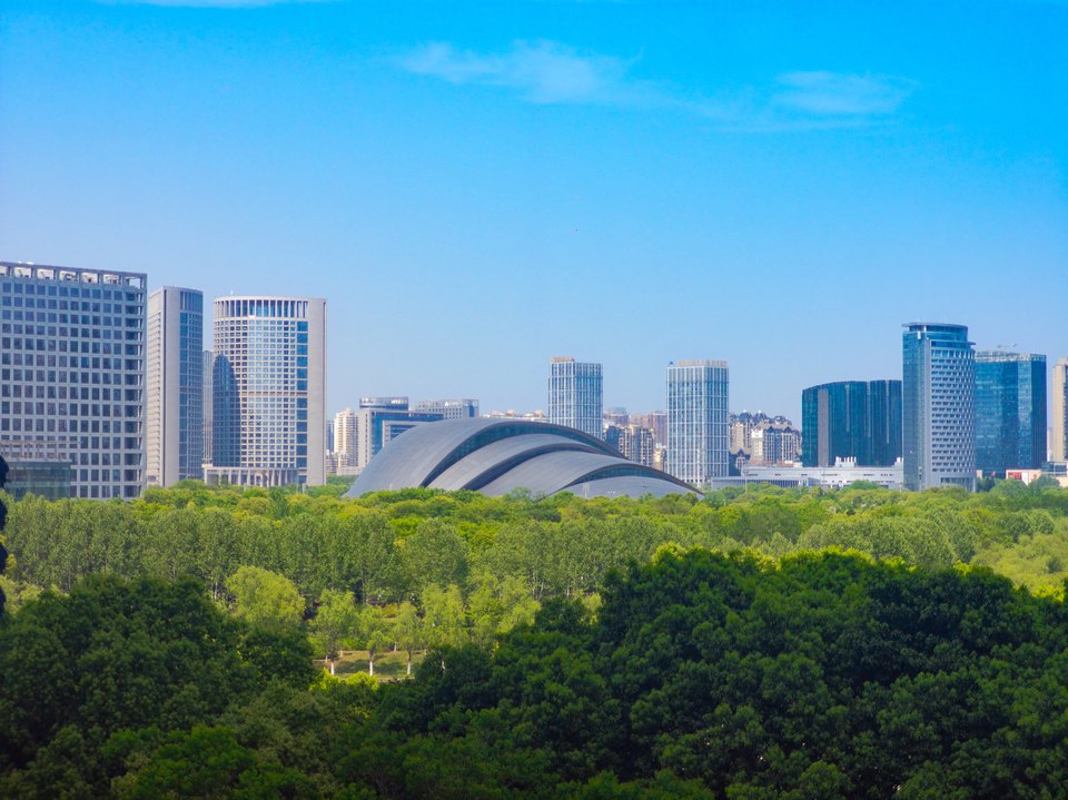 绿树后方的城市建筑
